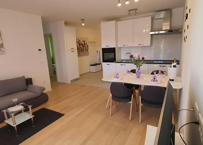 Apartment Galija 1 *